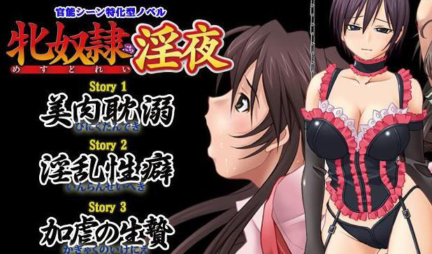 凌辱狂热者～女奴们的淫靡之夜～ AI汉化-遇见萝莉