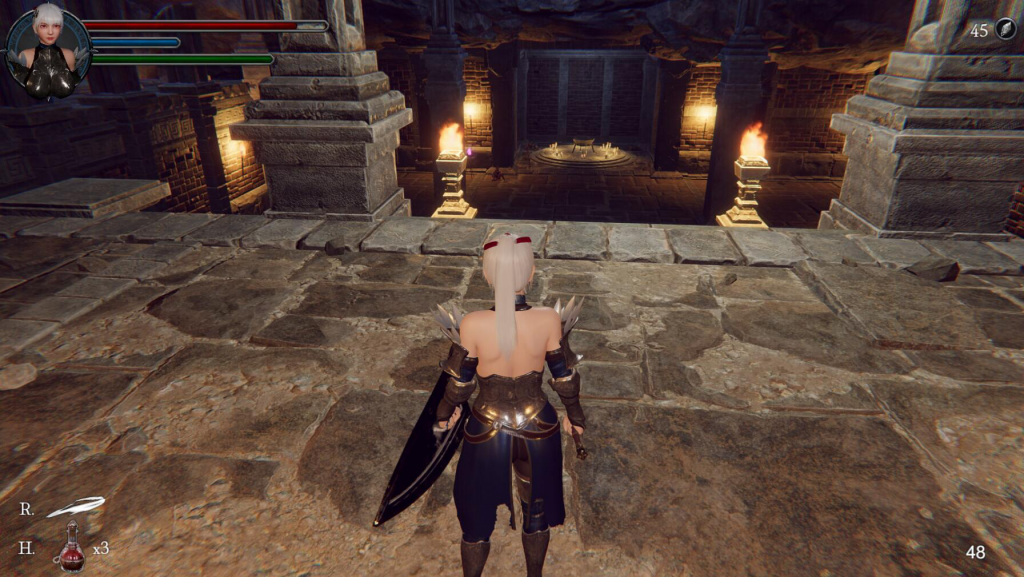 图片[2]-地下城的女骑士 STEAM官中-遇见萝莉